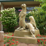 Otter Sculpture at Little Rock Zoo